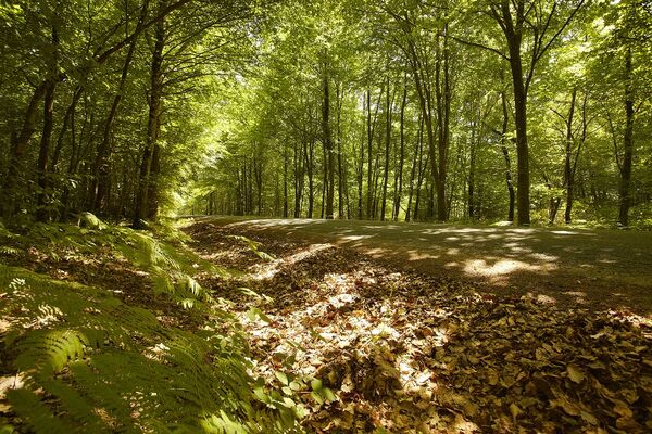 VTT Mervent - Saint Michel le Cloucq - 13.jpg