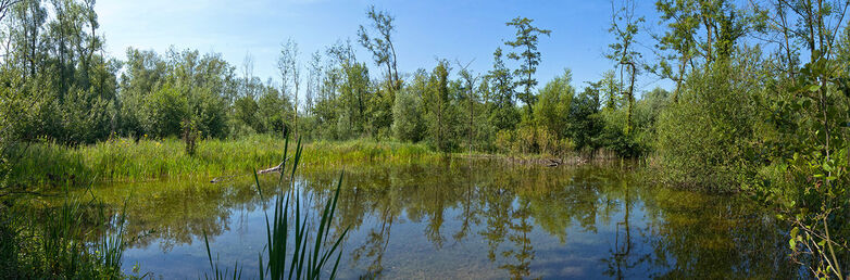 Robinsons domaine de Bellenville - Copyright Eden62.jpg