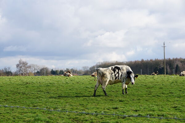 Herchies_Douce_Campagne_Balade_4©visitMons - Sophie Demeester (38).JPG