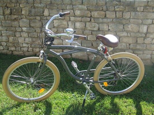 Beach-Cruiser-1.JPG