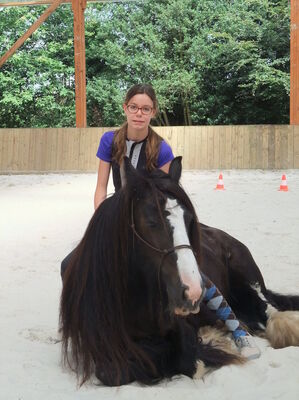 Centre_Equestre_Crinieres_Ouest_Lanvenegen (12).jpg