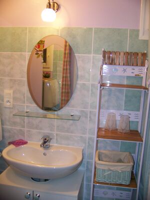 espace douche & wc.JPG