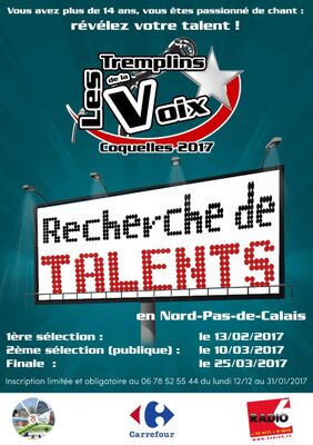 affichetremplin2017-636x899.jpg