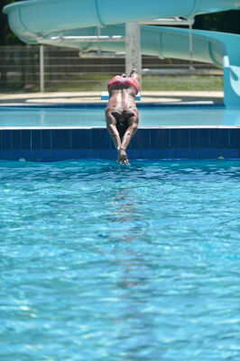 Piscine - L'Isle Jourdain ©Momentum Productions Mickaël Planes (47).jpg