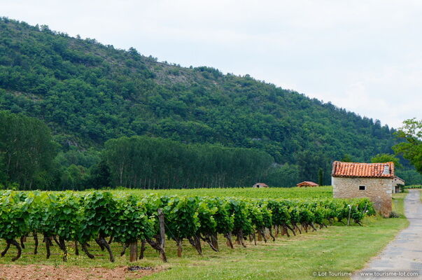 © Lot Tourisme J. Van Severen 140626-151550_800x530.jpg