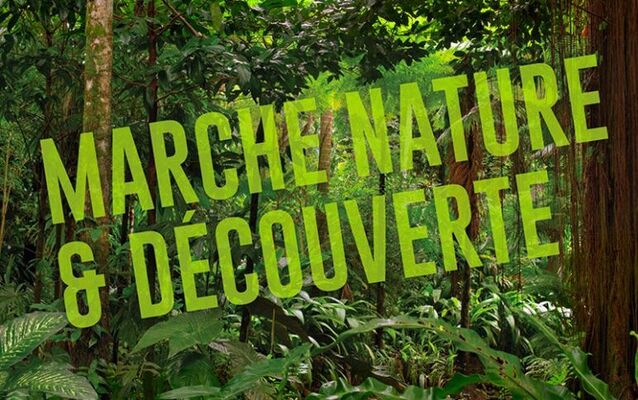 marche nature et découverte.jpg