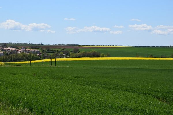 sérigné pays de Fontenay-Vendée 85200 - 6.jpg