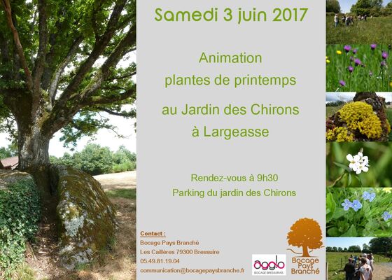 170603-largeasse-sortie-nature.jpg