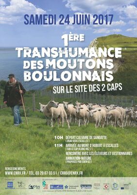 transhumance.jpg