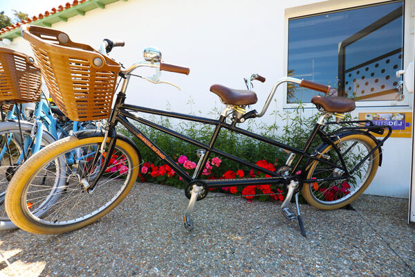 CAMPIOTEL DES DUNES 2019 (66).jpg