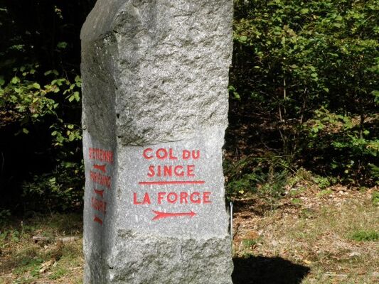 m-le-col-du-singe©Visorando.jpg