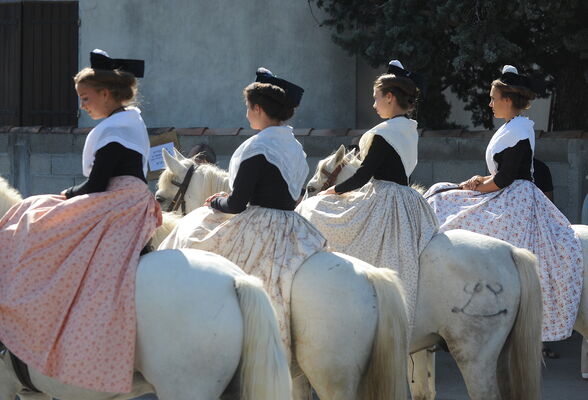 Foire aux Chevaux Fourques 011.jpg
