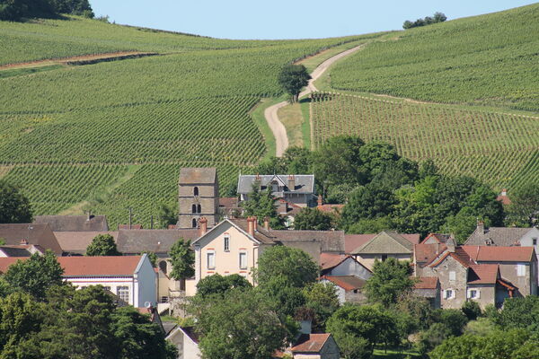 Mercurey-vins-vignes-paysages-OT (1).JPG
