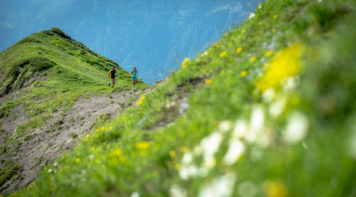 TRAILChampsaur_BD©AgenceKros_RemiFABREGUE (22 sur 51).jpg