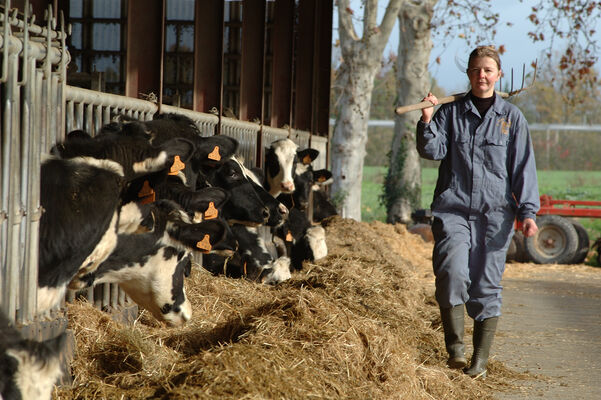26.12.18 & 06.01.19 mercredis à la ferme.JPG
