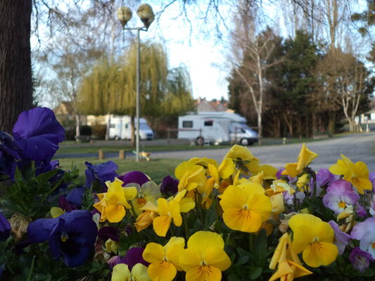DSC06351.JPG