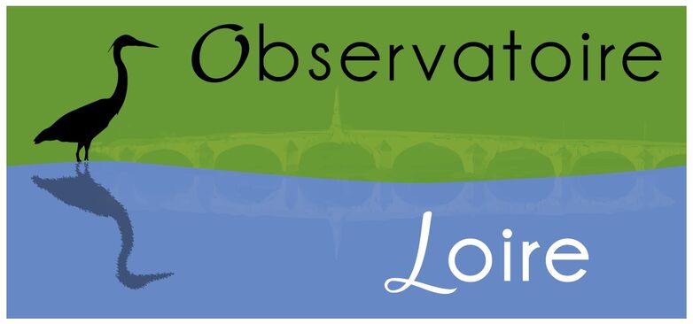 logoobs.jpg
