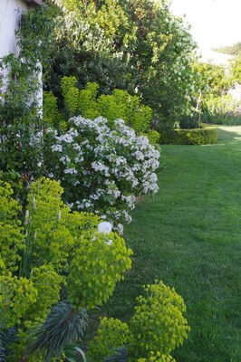 15-Jardin-Entry-e-2-.JPG