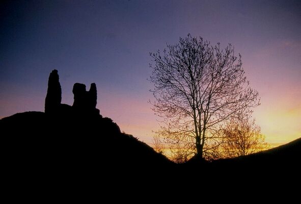 16- Arbre et ruines de Montaillou 300 dpi1 - copie.jpg