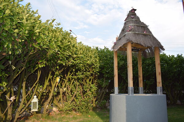 DSC_0695.JPG