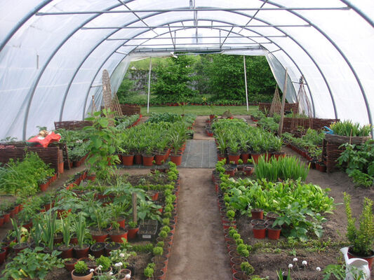 Jardin de Marta - Adriers ©Jardin de Marta (3).jpg