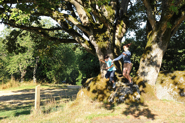 rocher-branlant-jardin-des-chirons-2000bressuirais (pw) 5237.jpg