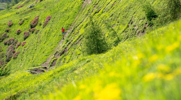 TRAILChampsaur_BD©AgenceKros_RemiFABREGUE (28 sur 51).jpg