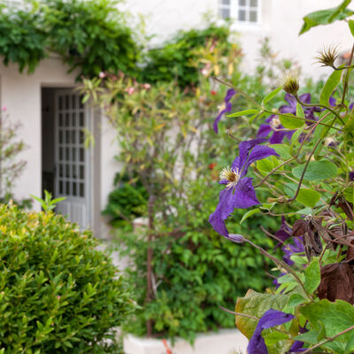 La maison Douce ile de Ré - Le Jardin (20).jpg