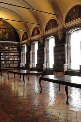 visite-decouverte-bibliotheque-jesuites-valenciennes-tourisme.jpg
