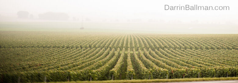 Art-In-The-Harvest-Darrin-Ballman-Commercial-Photography-9215_WEB_LOGO.JPG