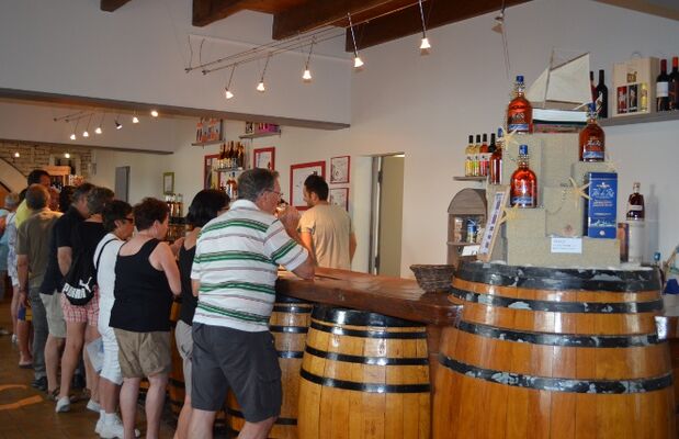 Vignerons5.JPG