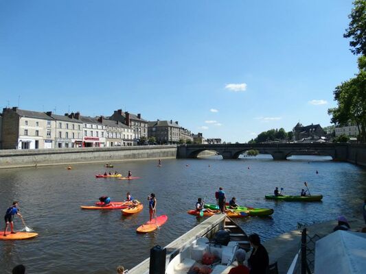 stand up paddle2.jpg