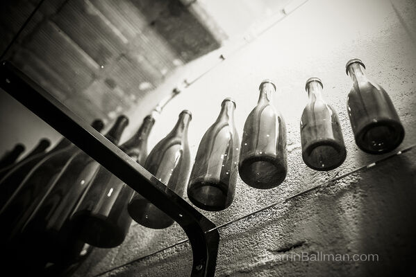 Art-In-The-Harvest-Darrin-Ballman-Commercial-Photography-8875_WEB_LOGO.JPG