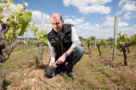 Vins Mercier.jpg