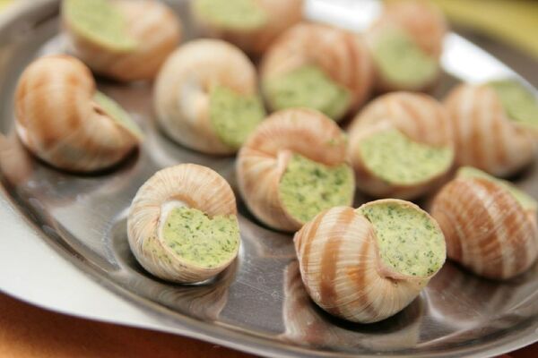 escargotfrancejanic.jpg
