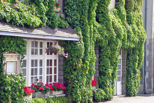 bonne_auberge.jpg