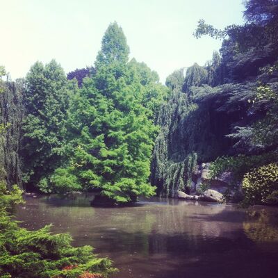 parc_Rhonelle_éclairé_.JPG