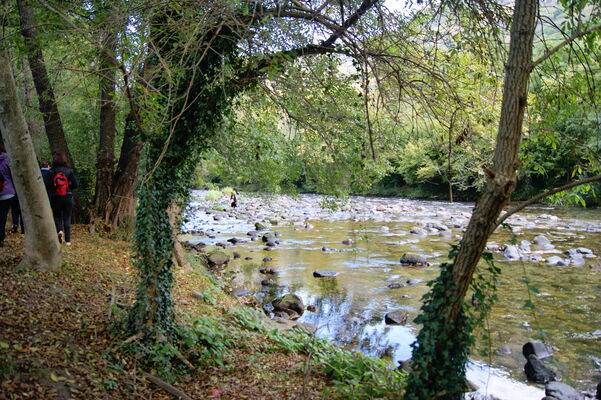 sur les rives de l'Ariège.jpg