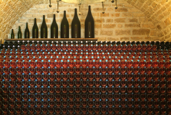 Champagne RICHARDOT (2).jpg