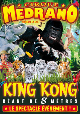 Affiche-MEDRANO-KingKong-valenciennes-tourisme.jpg
