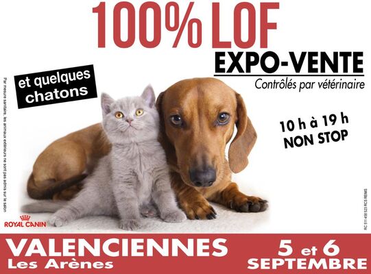 100%-lof-arènes-petite-foret-valenciennes-tourisme.jpg