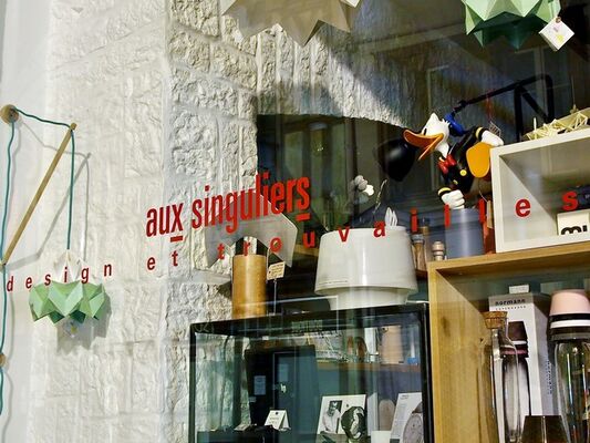Vitrine boutique Aux Singuliers