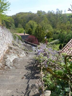 les glycines-escalier-sit.jpg