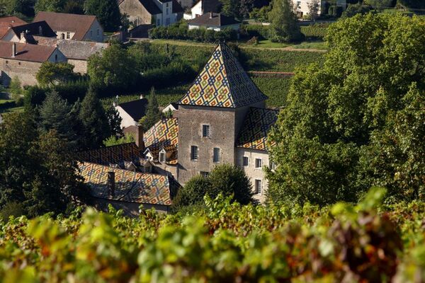 Les tuiles vernissées du Chateau Philippe le Hardi©Image&Associés