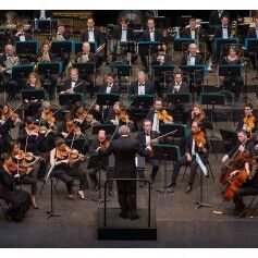 Orchestre symphonique6.jpg