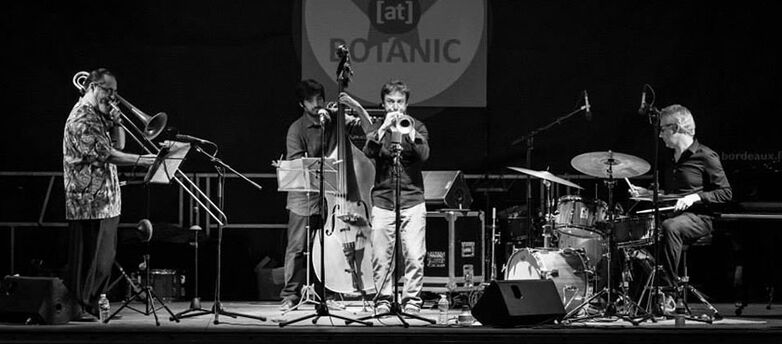 aerophone1.jpg