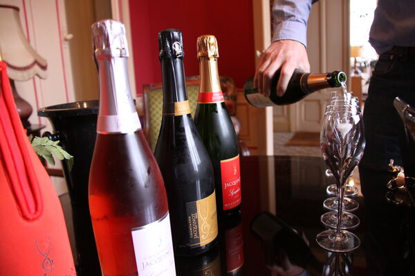 Fevrier 2012 107.jpg