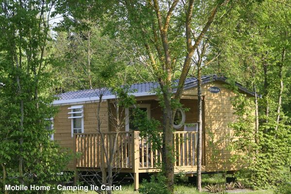 Camping-l'ile-cariot-chaillé-les-marais-2.jpg