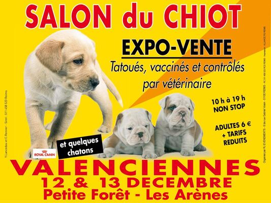 salon-expo-vente-chiot-les-arènes-valenciennes-tourisme.jpg