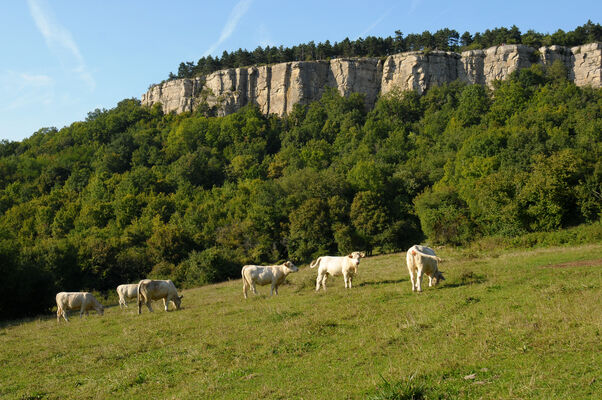 les Falaises de Cormot©Image&Associés.jpg